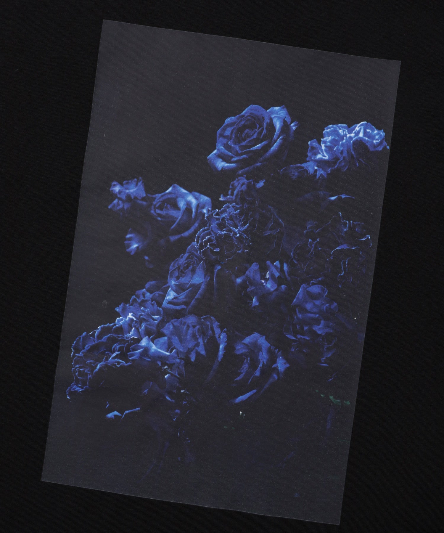 LOOSEJOINTS/ルーズジョインツ/TENDER IS THE NIGHT S/S T LF26JS009SN BLK