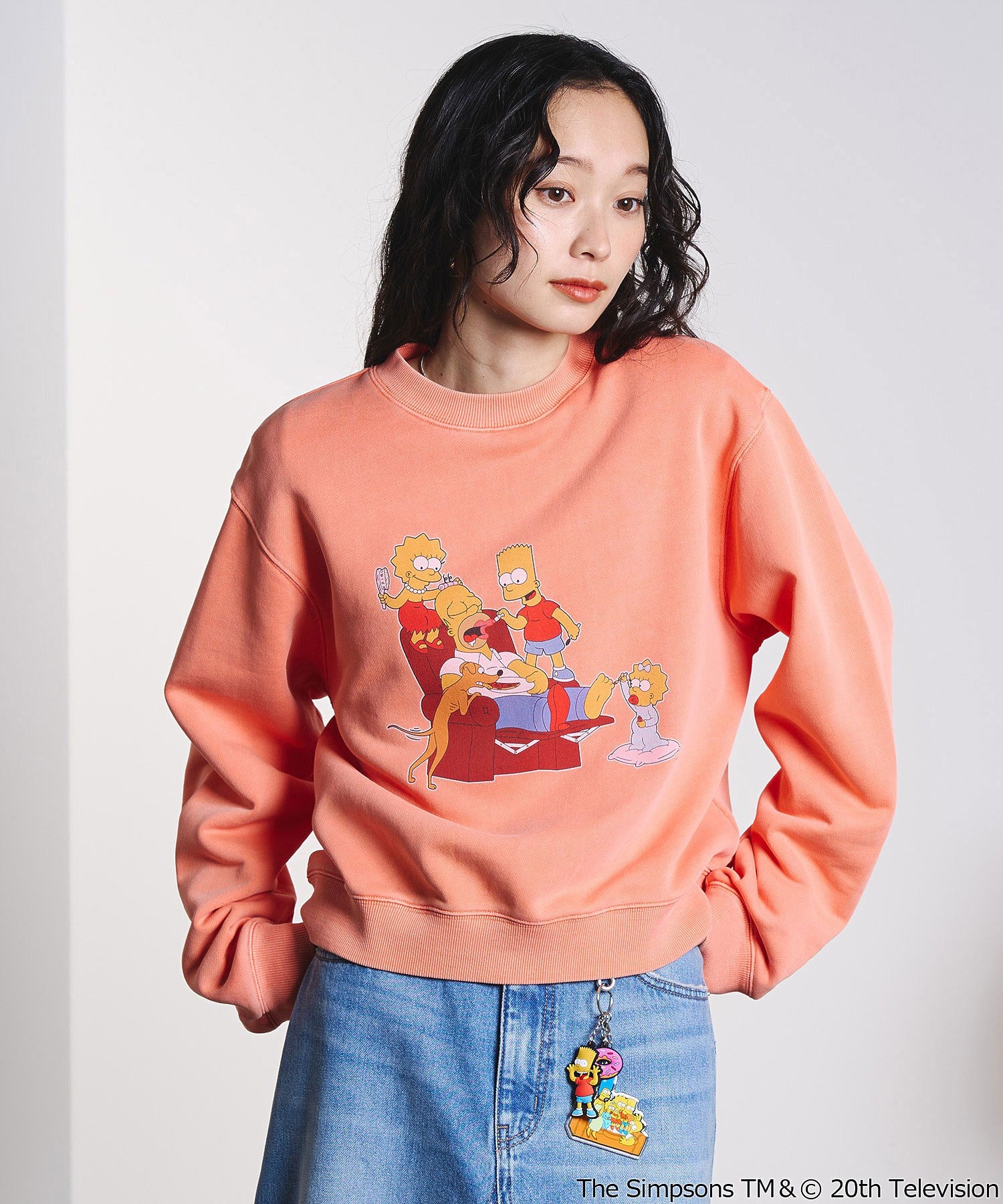 THE SIMPSONS / KEY CHARM