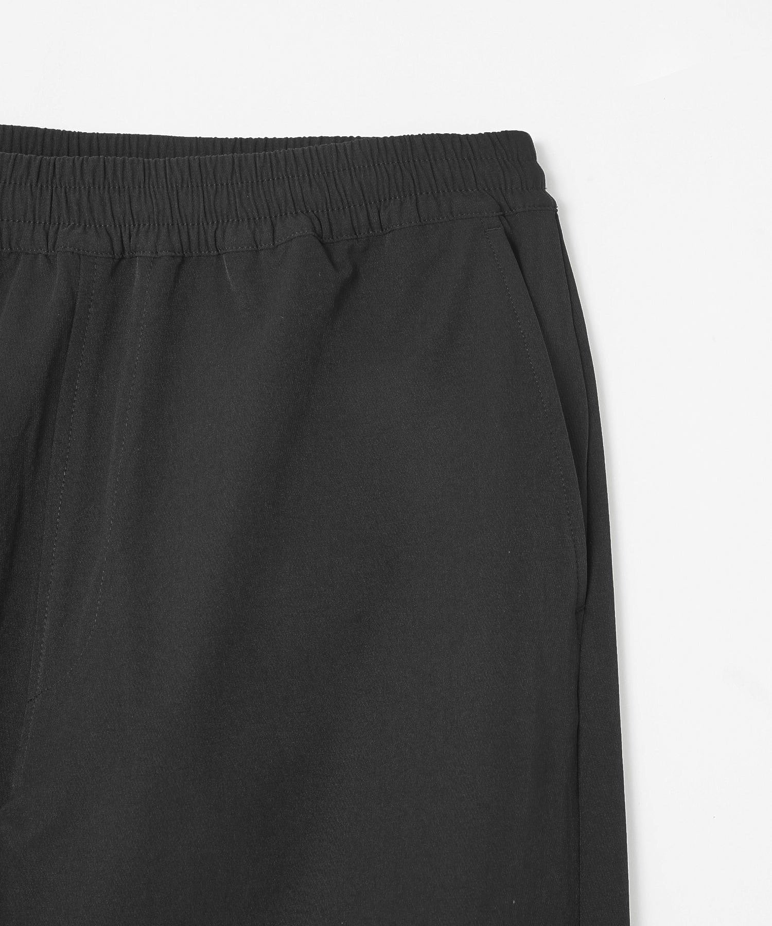 Diaspora Skateboards/ディアスポラスケートボーズ/BACKROOM SLACKS/PT04