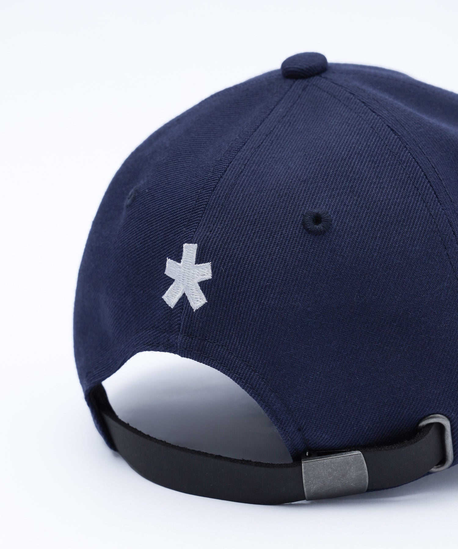 HAZE LOGO 6 PANEL CAP calif-ART