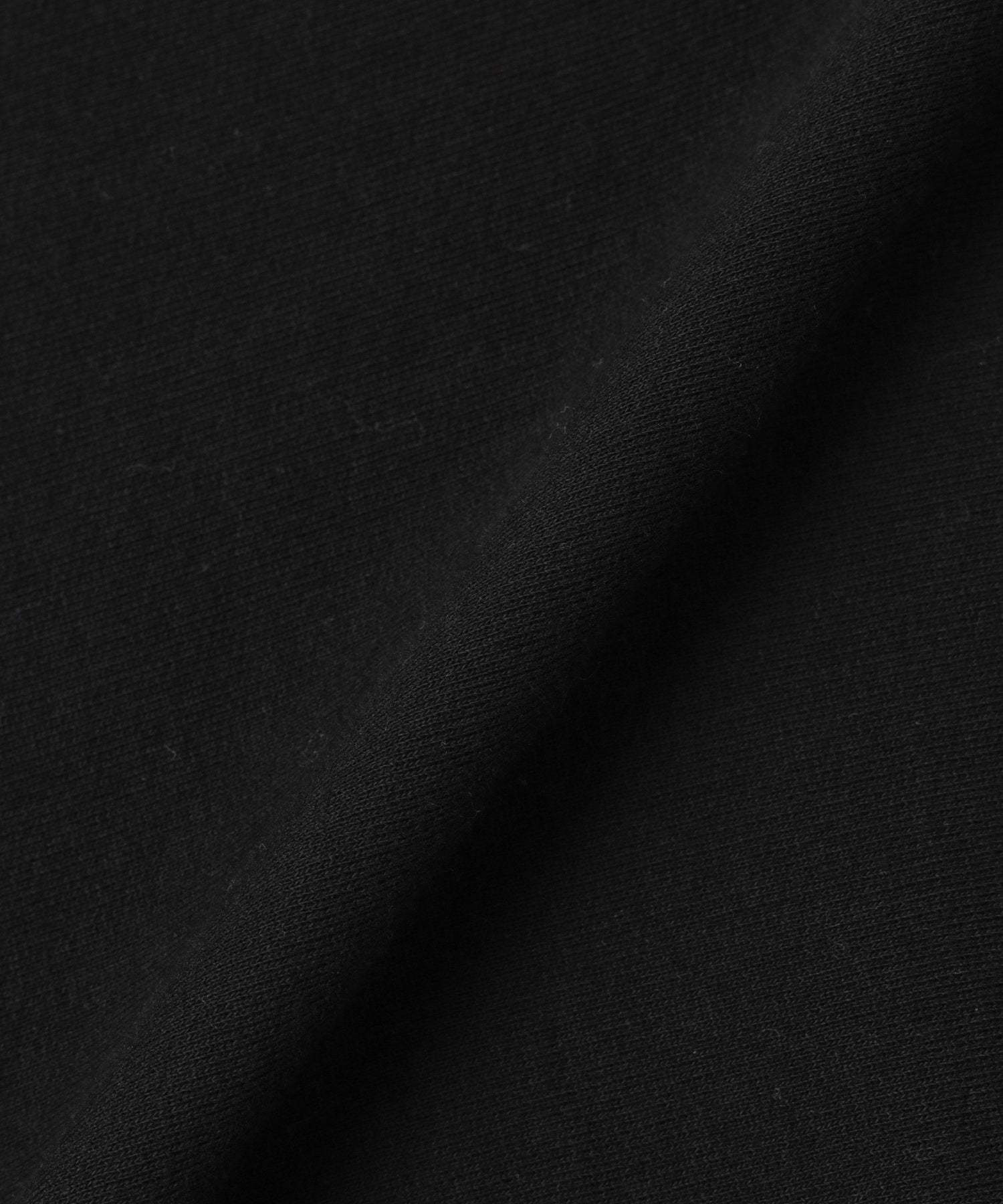 CHAMPION/チャンピオン/RW CREW NECK SWEATSHIRT C3-E010-090