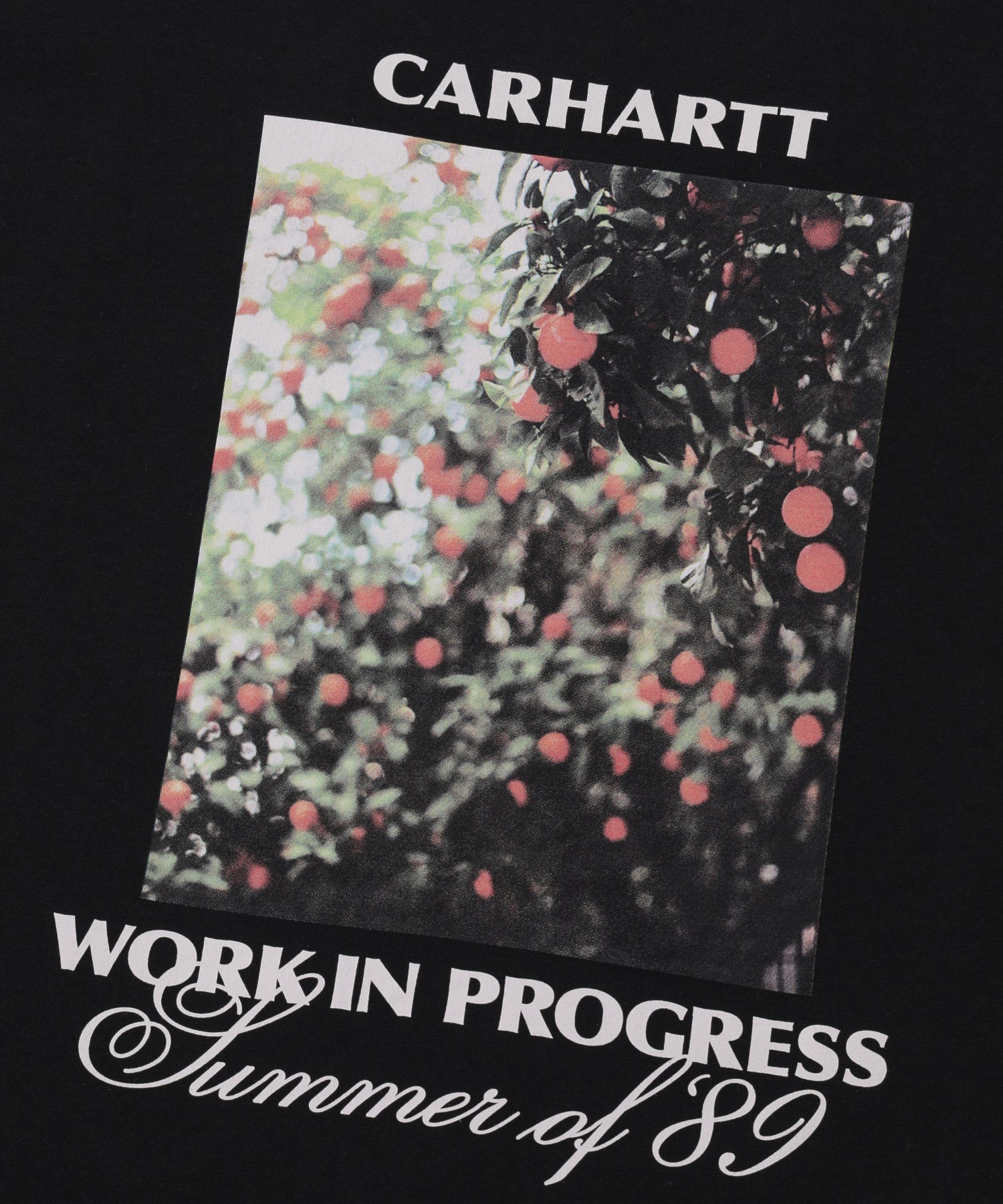 CARHARTT/カーハート/WIP S/S WARM VIEWS T-SHIRT I036246