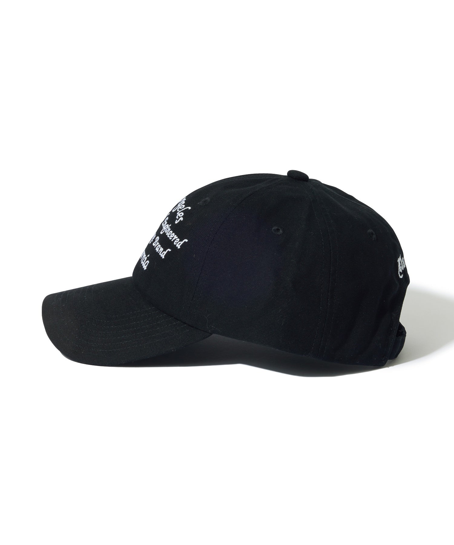 CANVAS 6PANEL CAP