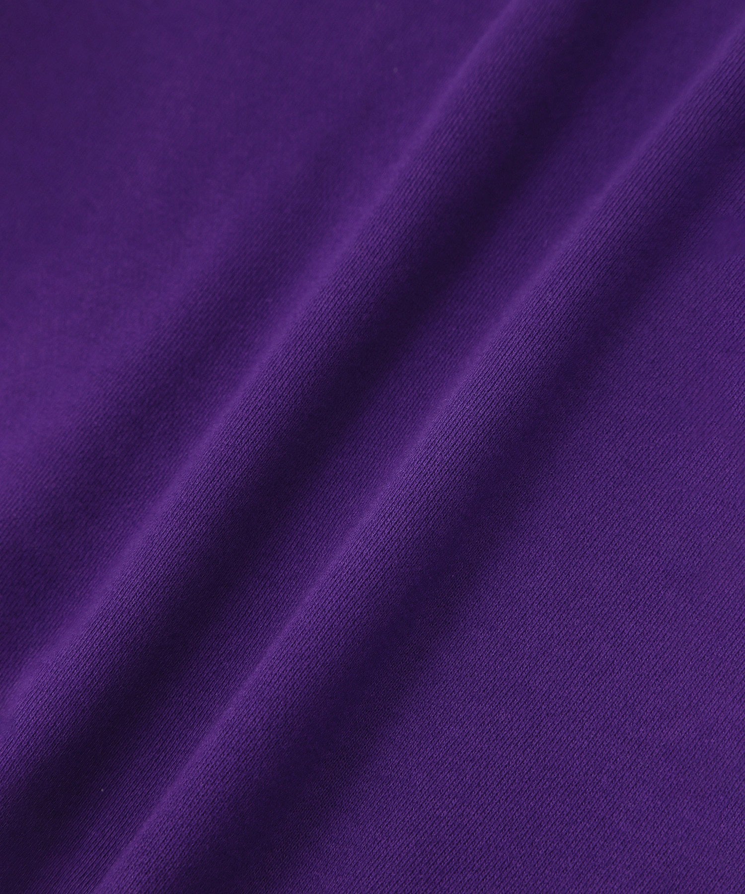 <Champion別注>ビッグスウェット