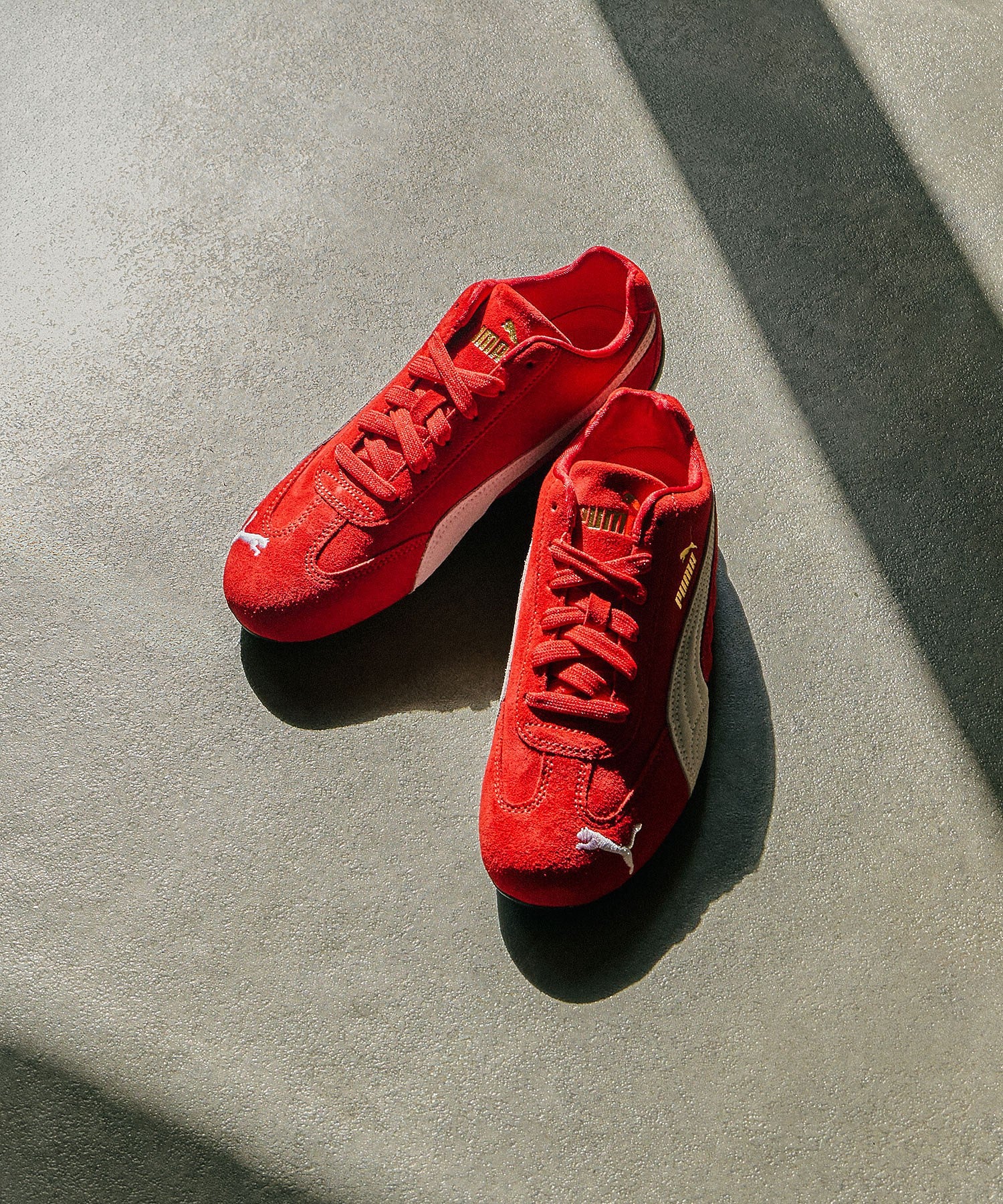 PUMA/SPEEDCAT OG