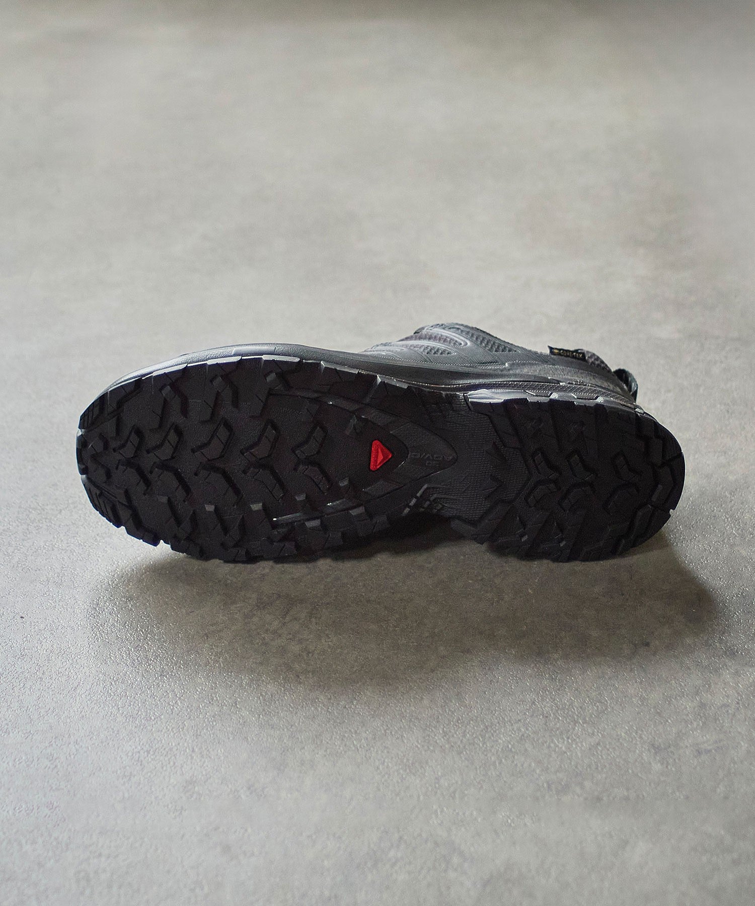 SALOMON/XA PRO 3D V9 GTX