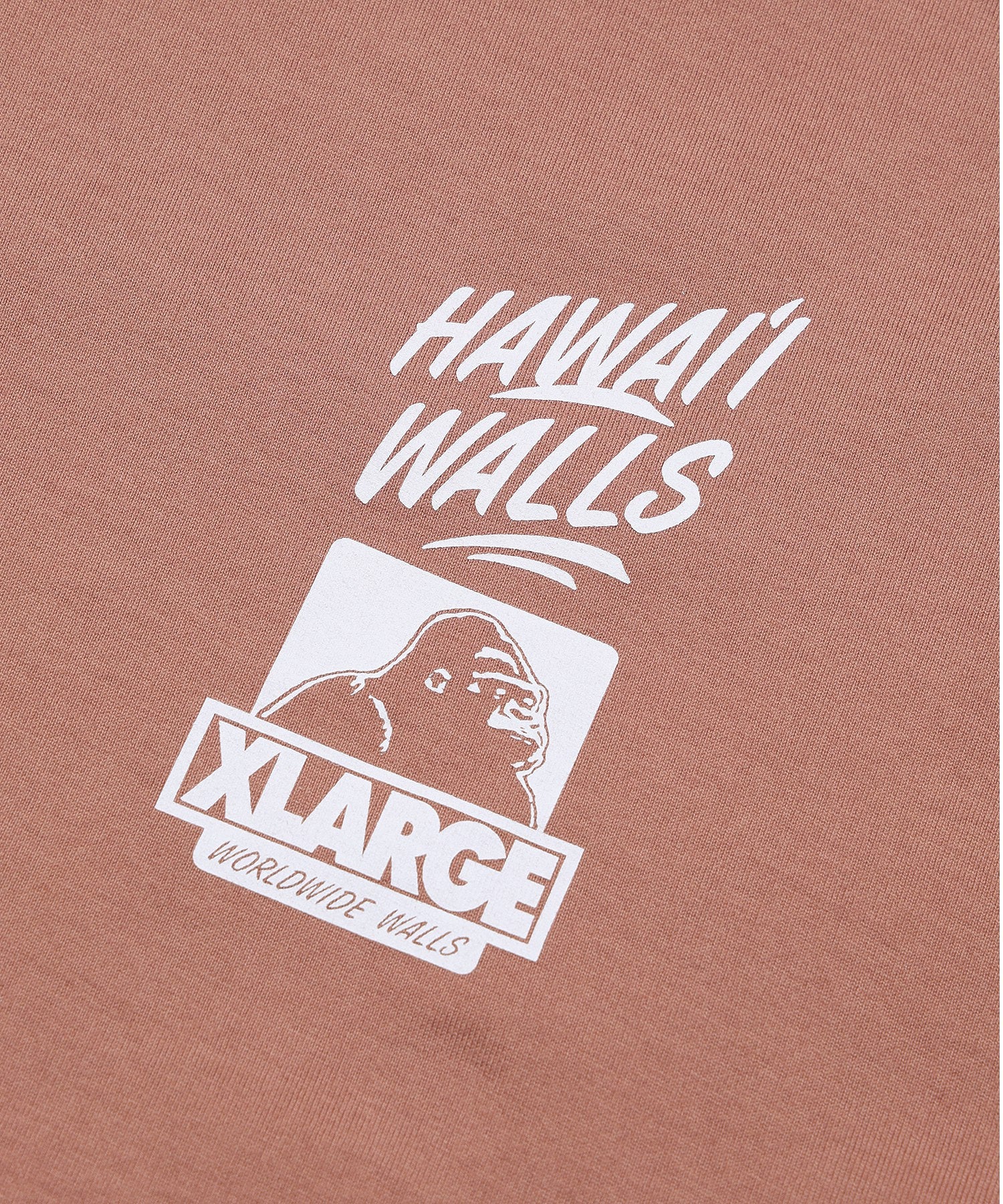 XLARGE x HAWAII WALLS S/S TEE calif-ART