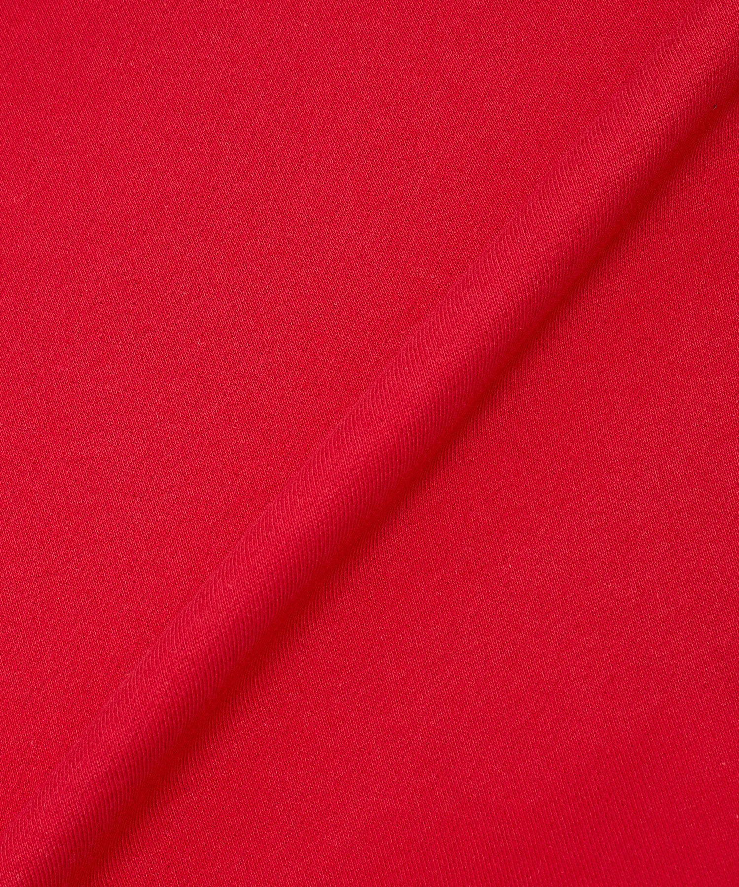 GOOD ROCK SPEED/LOONEY TUNES/SWEATSHIRT