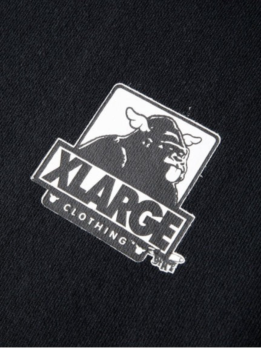 【XLARGE×D*FACE】STRIPE SKULL RENDER PULLOVER HOODED SWEAT