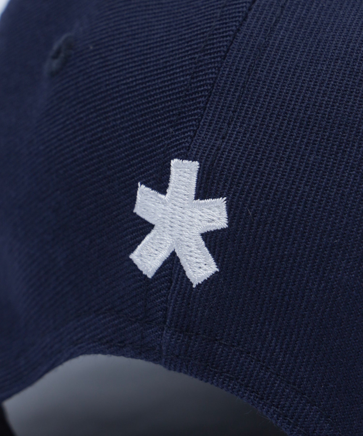HAZE LOGO 6 PANEL CAP calif-ART