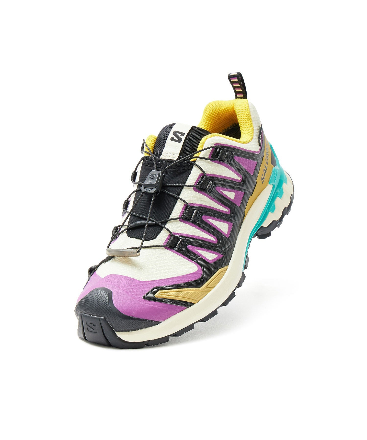 SALOMON/XA PRO 3D V9 GTX