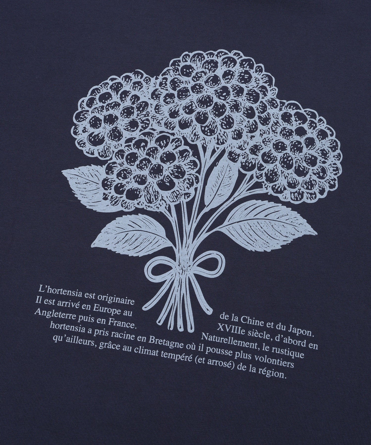 LATER/レイター/ESSENTIELS T-SHIRTS IN WHITE LAT_ESS_2