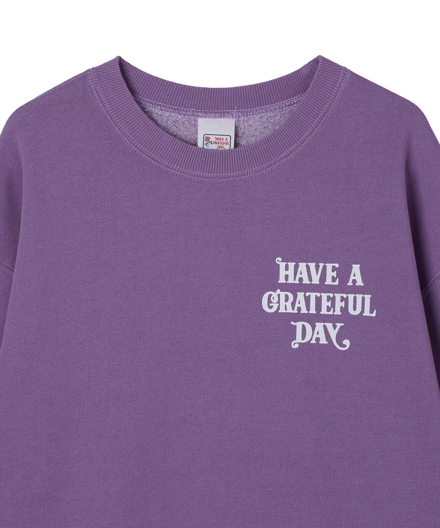 HAVE A GRATEFUL DAY/CREW SWEATSHIRT