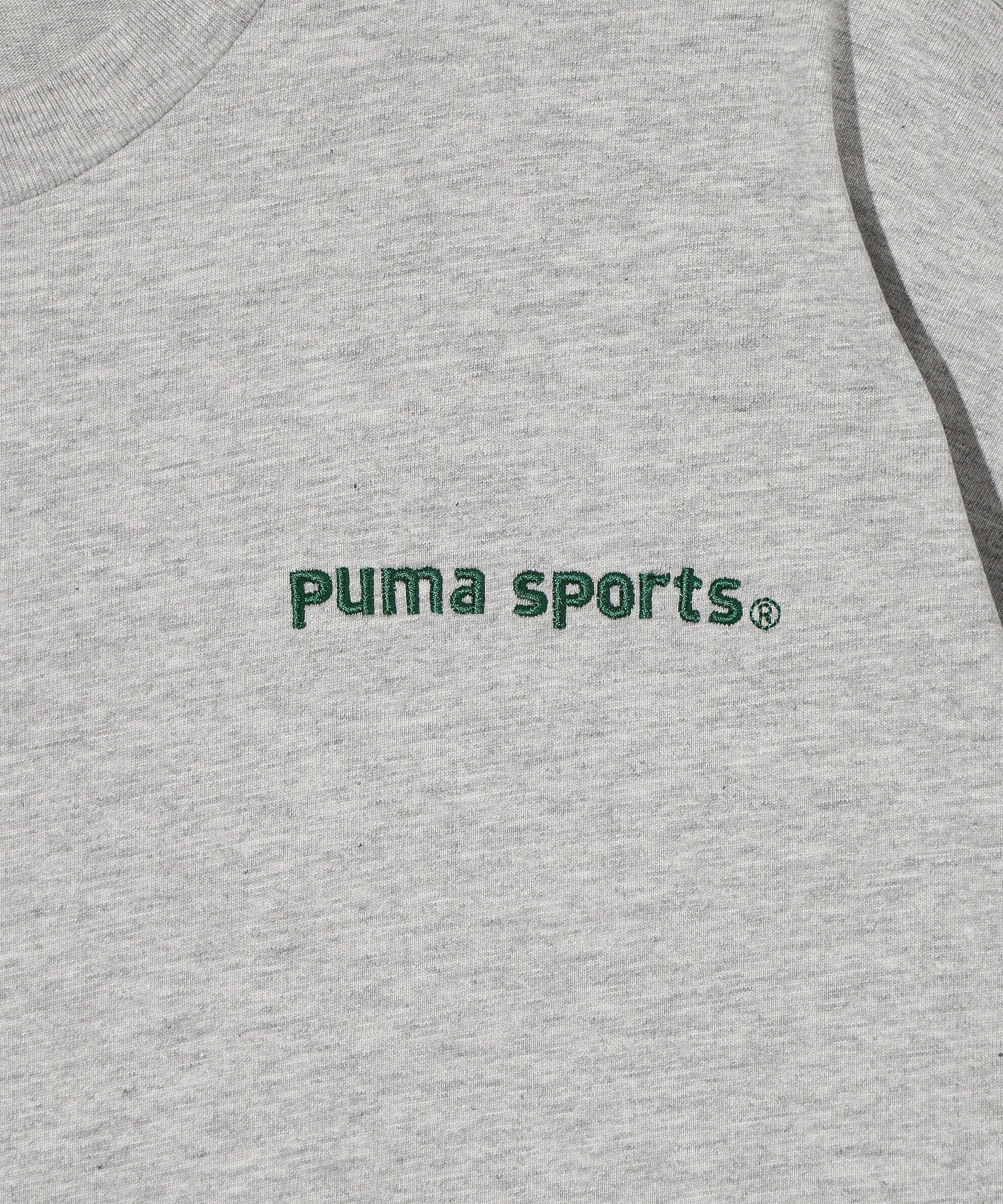 PUMA/プーマ/PUMA TEAM GRAPHIC T-SHIRT/622492
