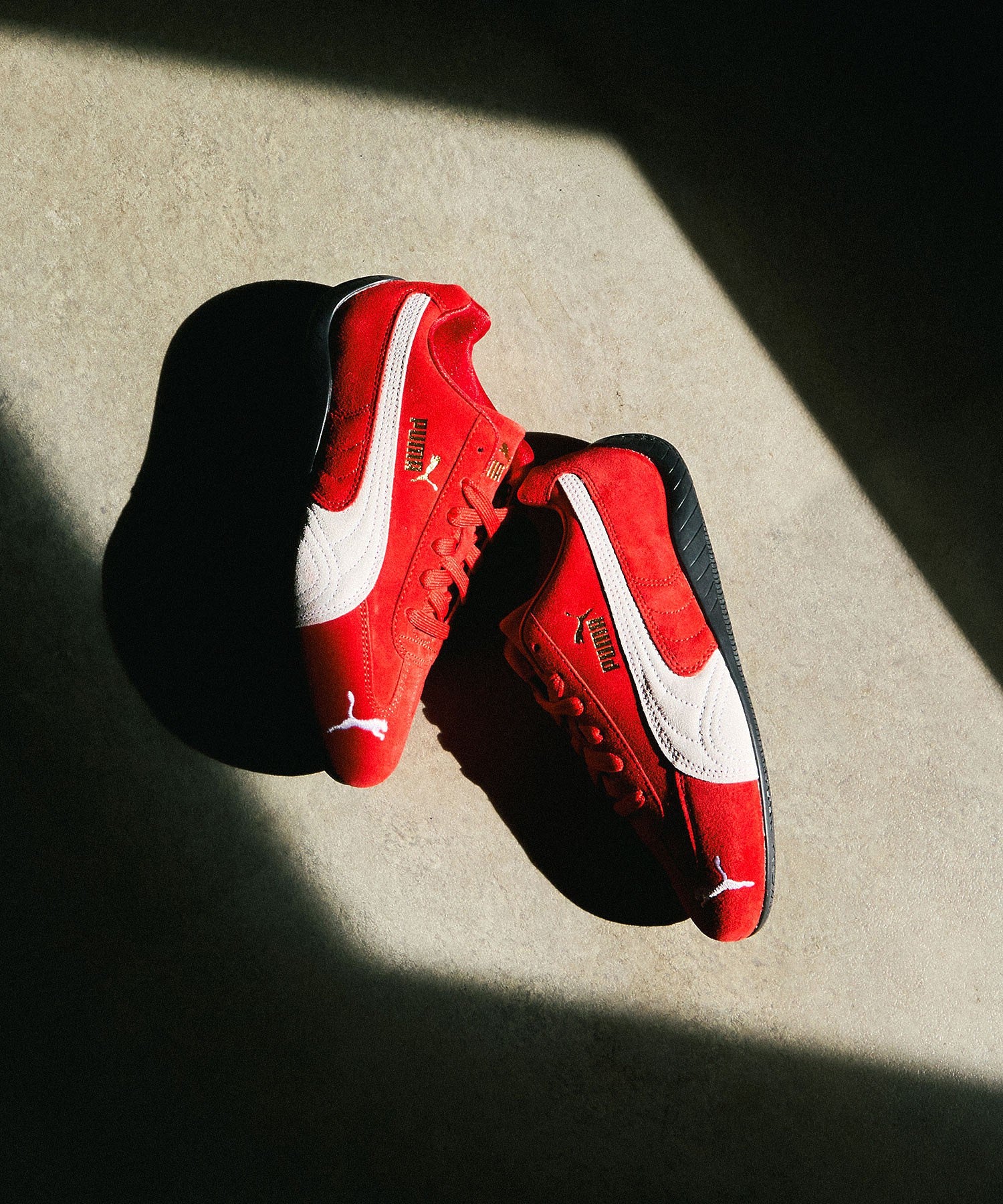 PUMA/SPEEDCAT OG