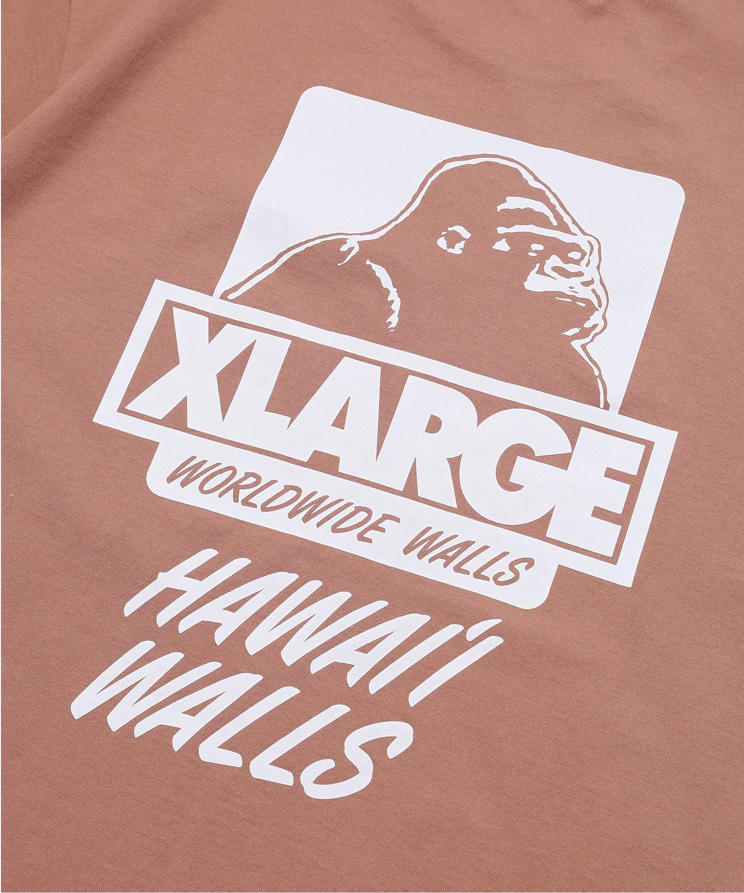 XLARGE x HAWAII WALLS S/S TEE calif-ART