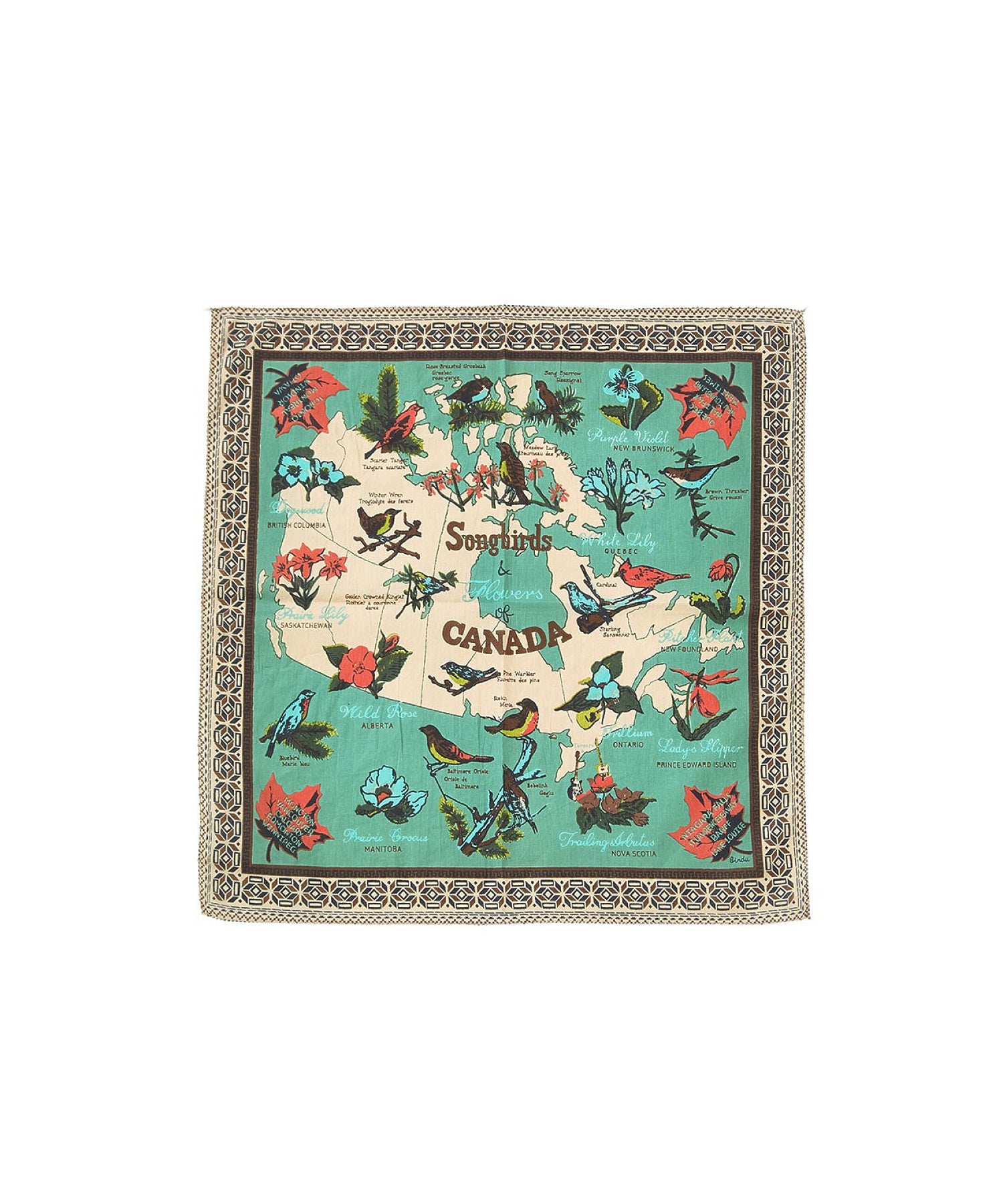 BINDU/COTTON VOILE CANADA BANDANA