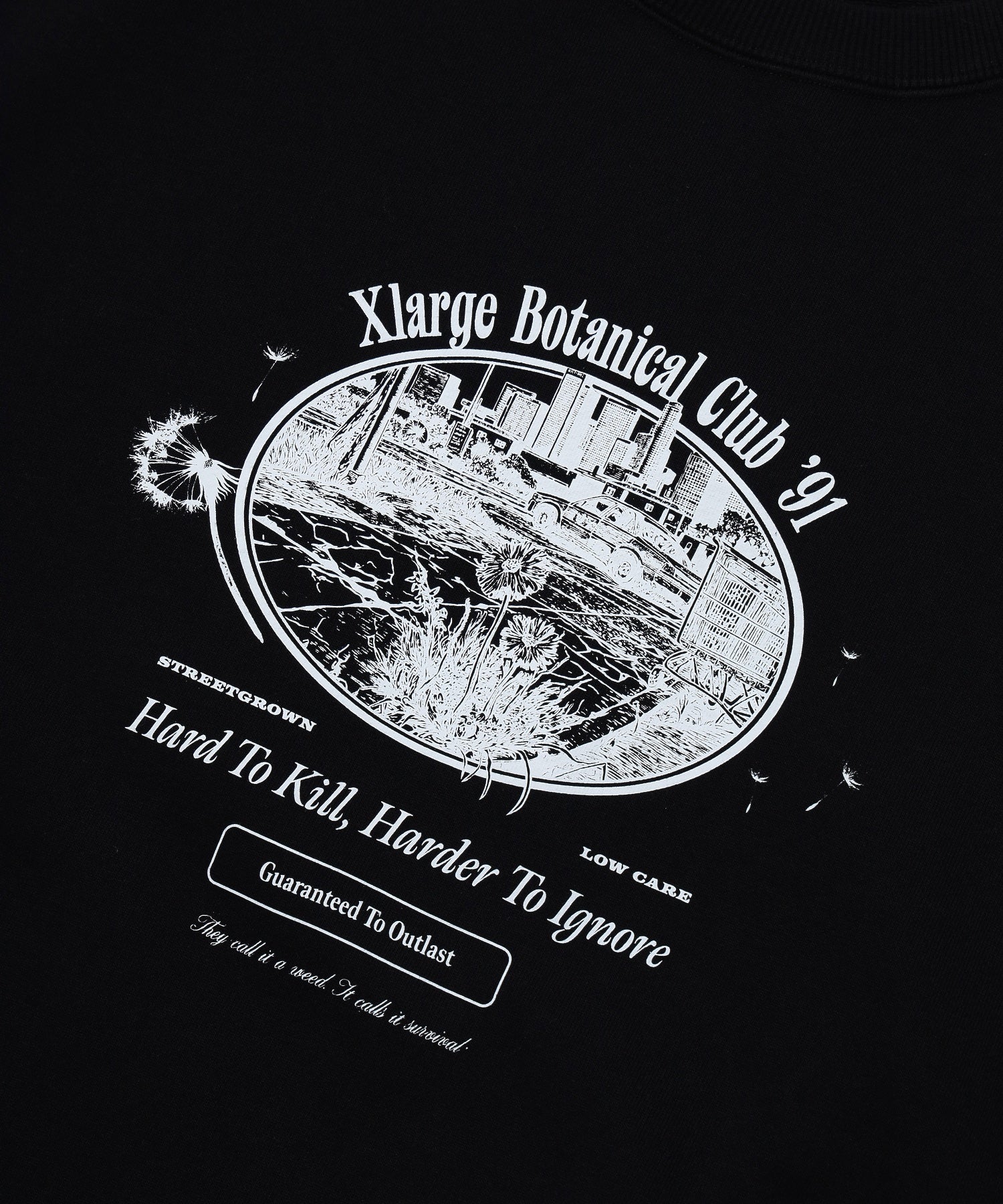 BOTANICAL CLUB CREWNECK SWEATSHIRT