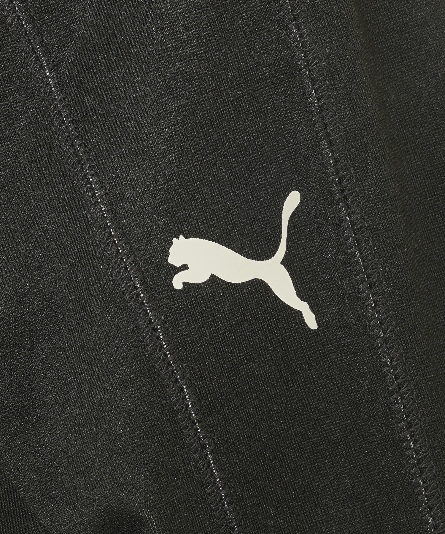 PUMAｘPLEASURES/プーマ/GRAPHIC LS/624097