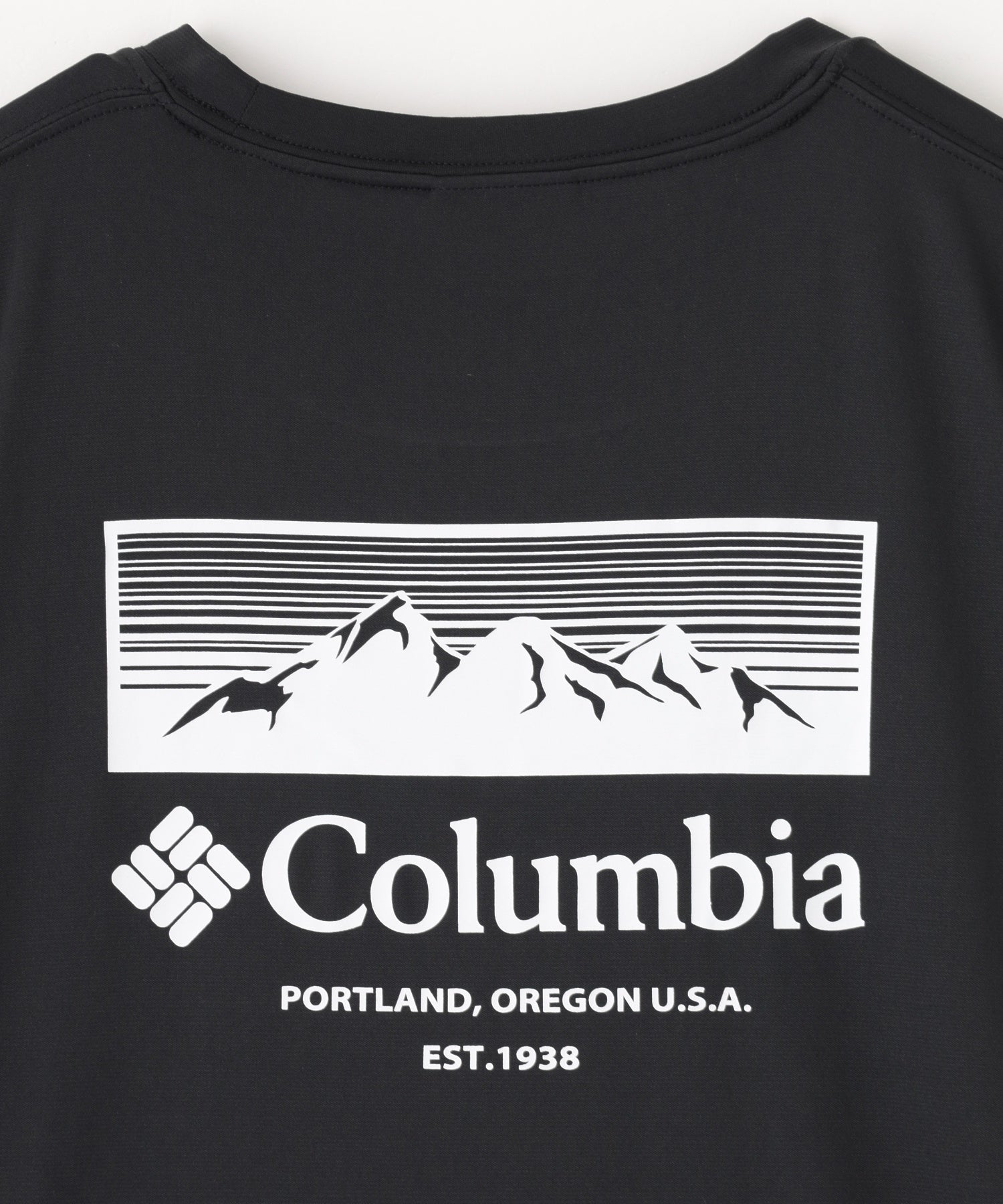 Columbia/コロンビア/Glacial Vista Graphic Tee XE3513