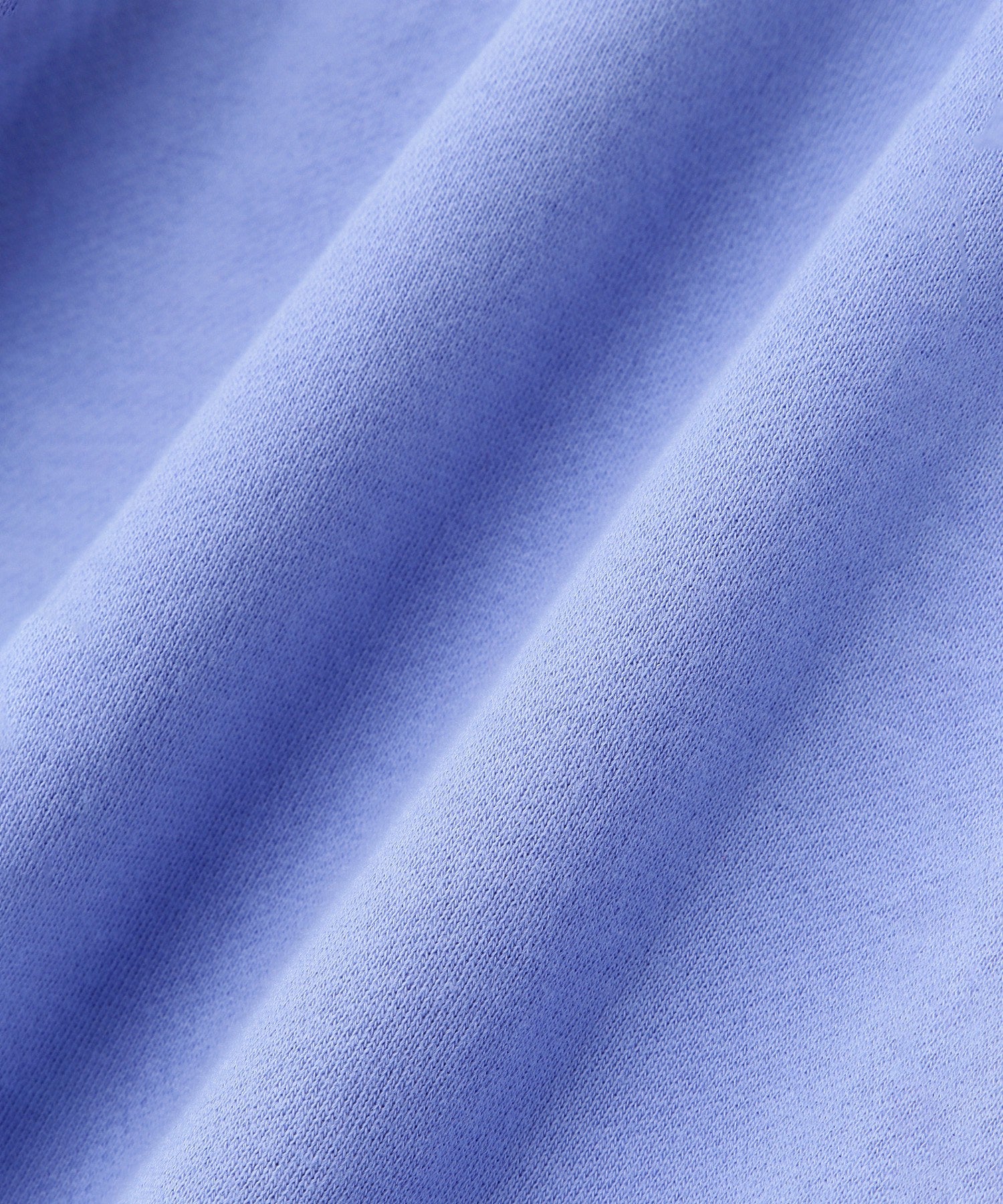 <Champion別注>ビッグスウェット