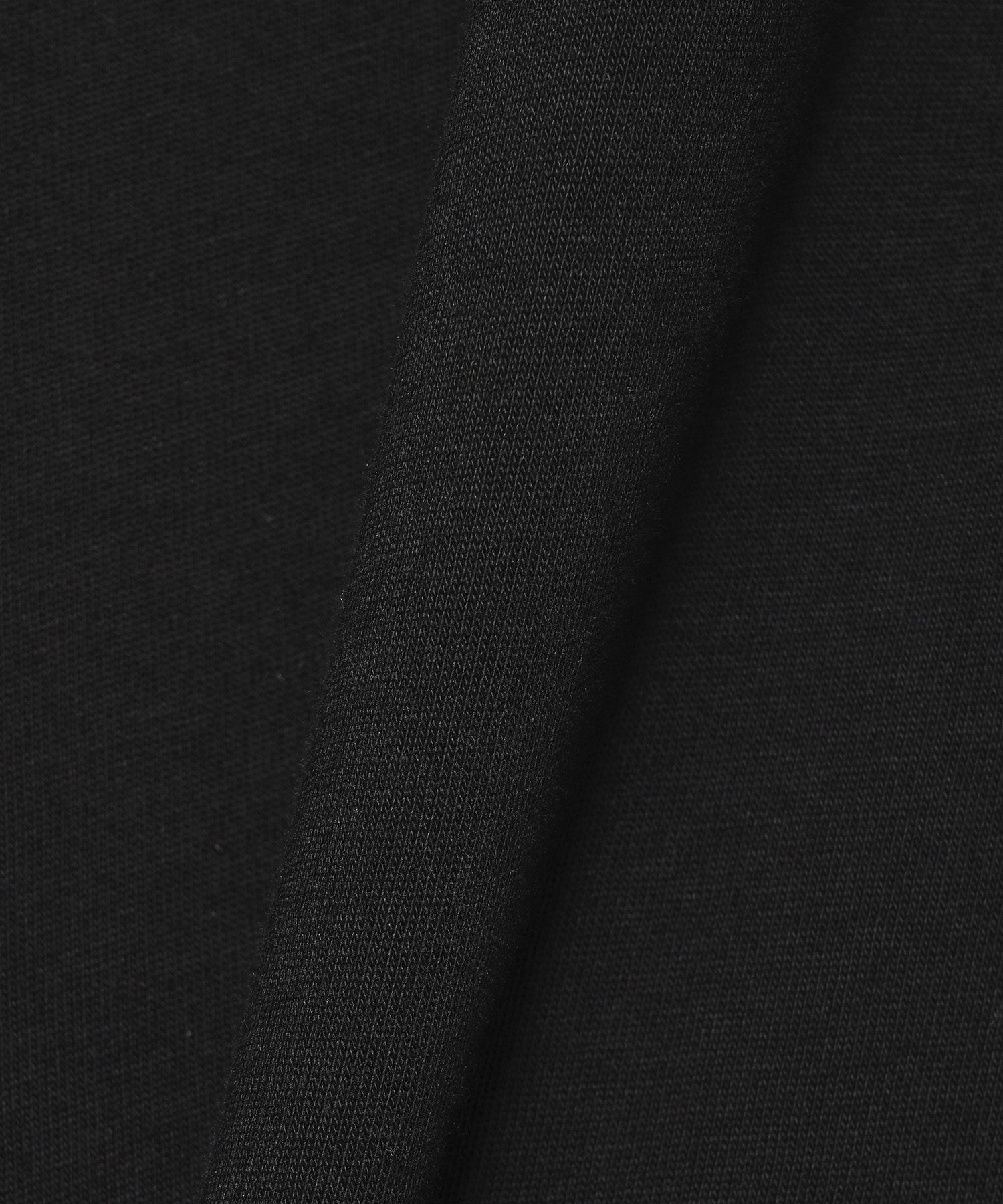 LOOSE JOINTS/ルーズジョインツ JASON FOX-DOG S/S TEE LS25JS002JF
