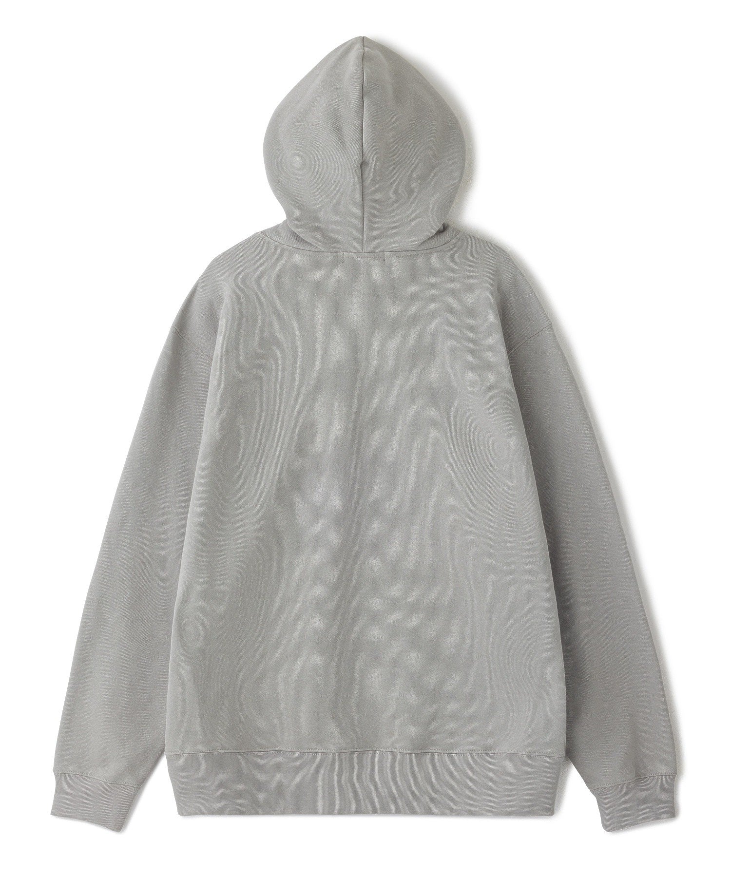 RUIN LOGO SWEAT HOODDIE