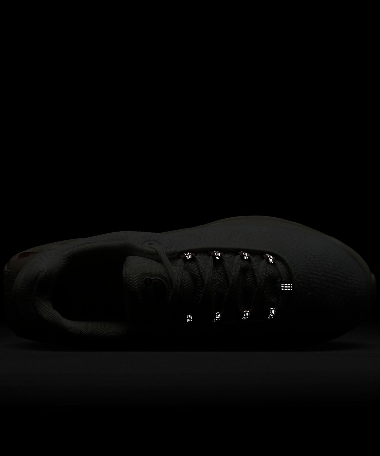 NIKE/ナイキ/WMNS AIR MAX DN TECH IH0284-100