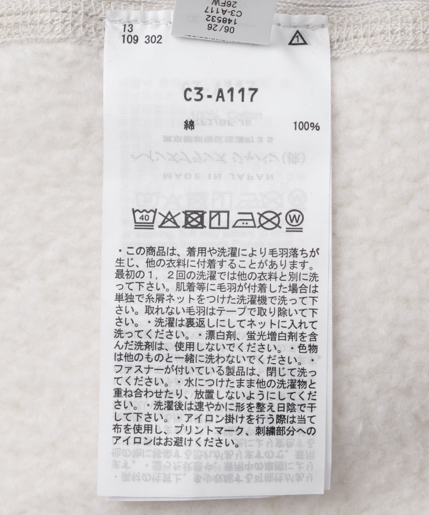 CHAMPION/チャンピオン/RW PULL OVER AFTER HOODED C3-A117-043