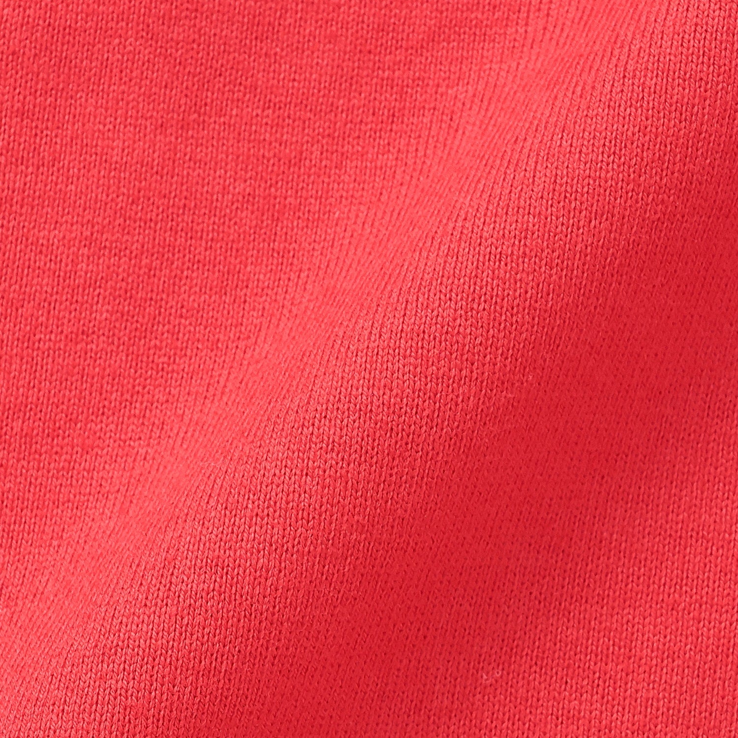 トリケラトプスグラフィック半袖Tシャツ