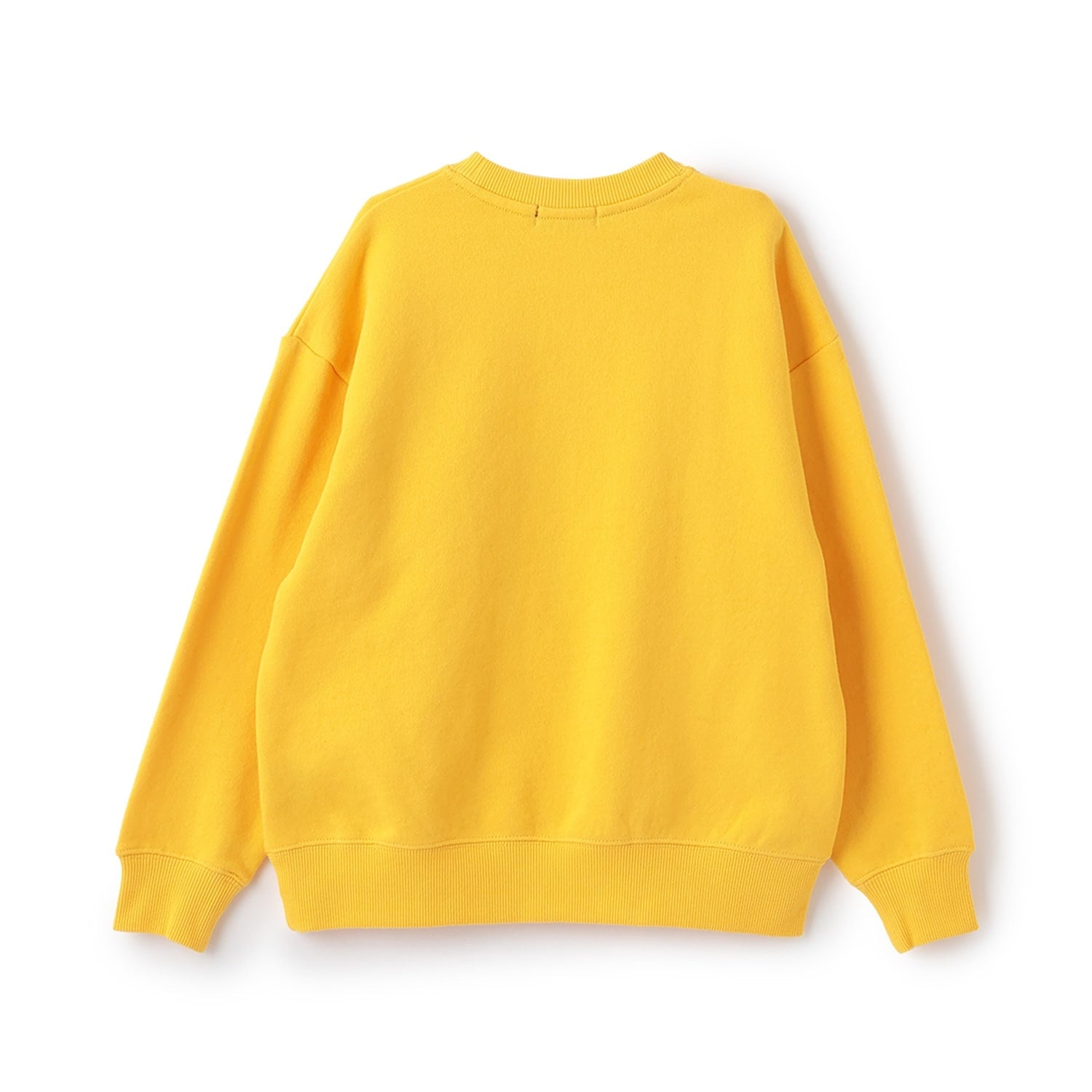 ダイナソートレーナー