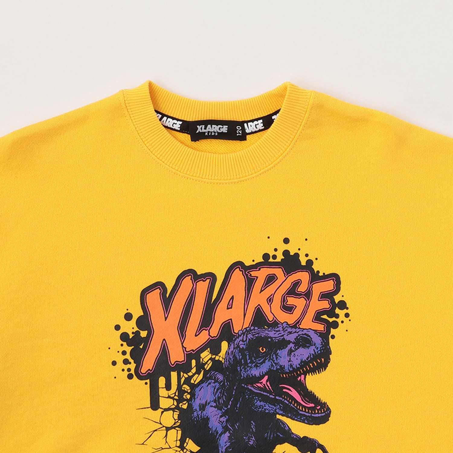 ダイナソートレーナー