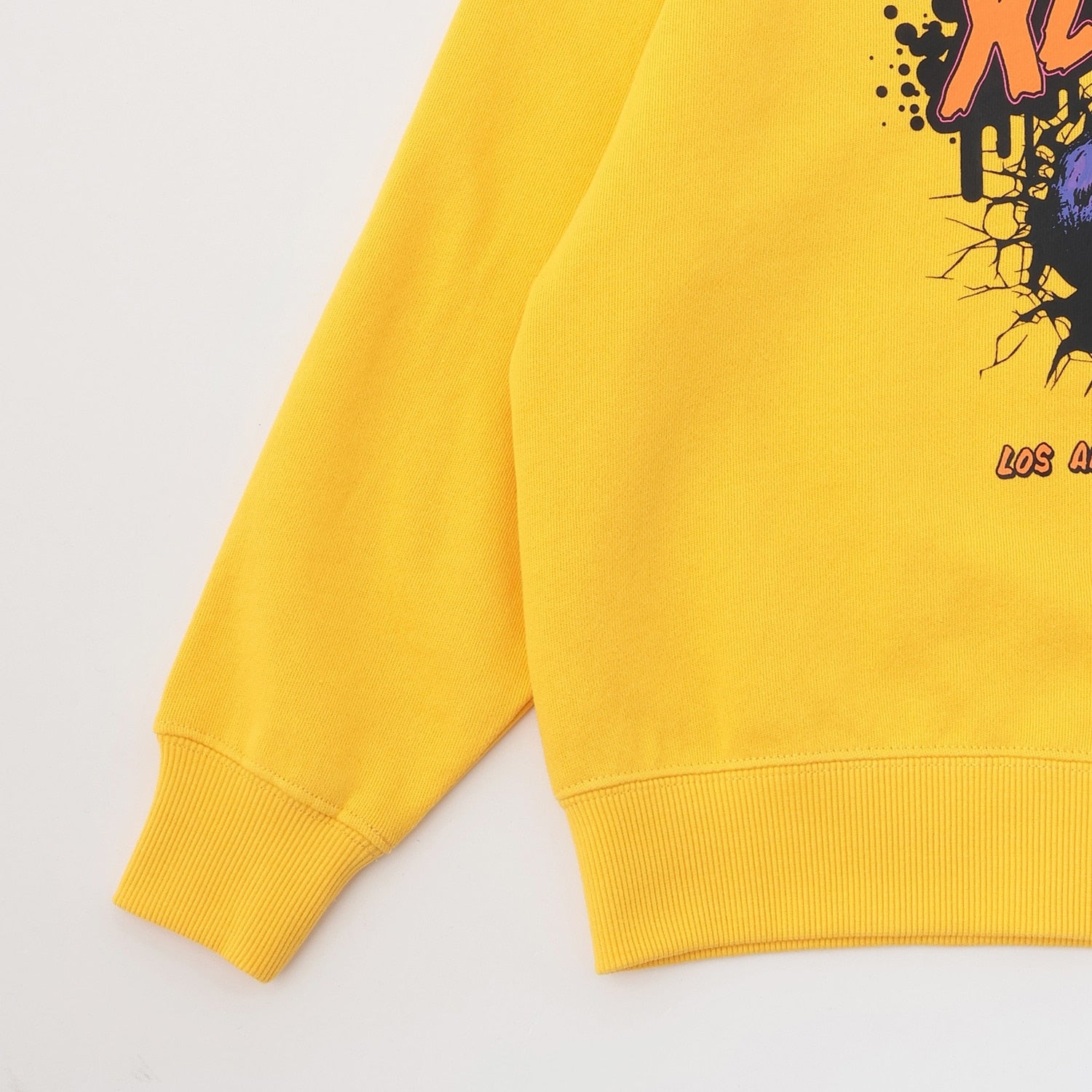 ダイナソートレーナー