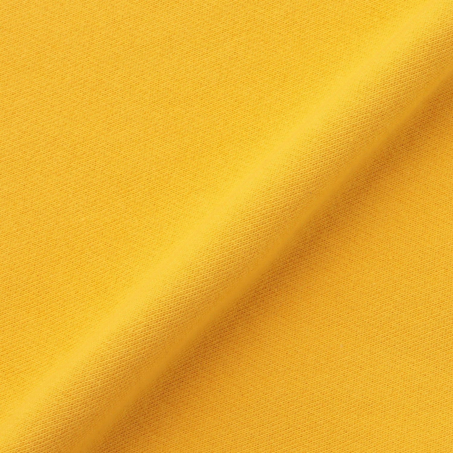 ダイナソートレーナー