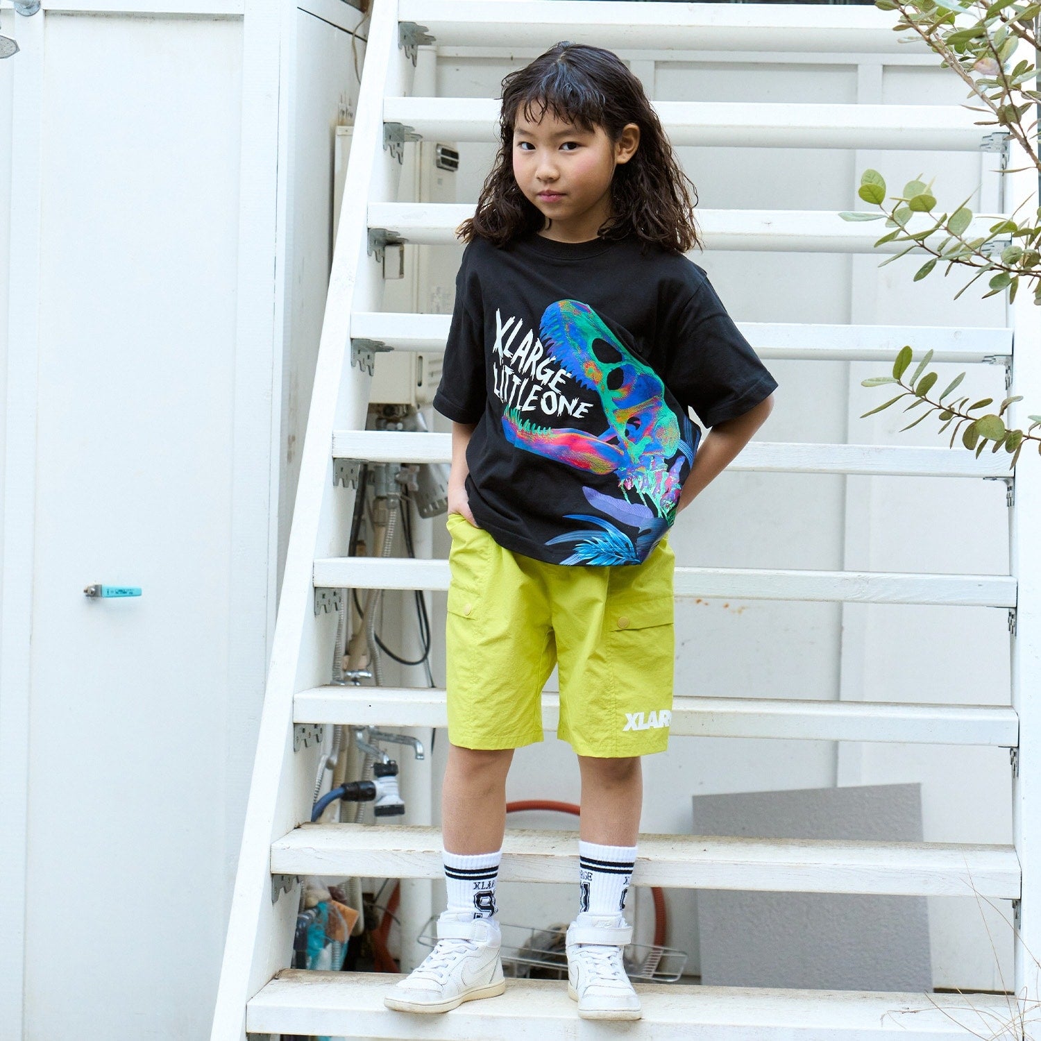トロピカル恐竜 半袖Tシャツ