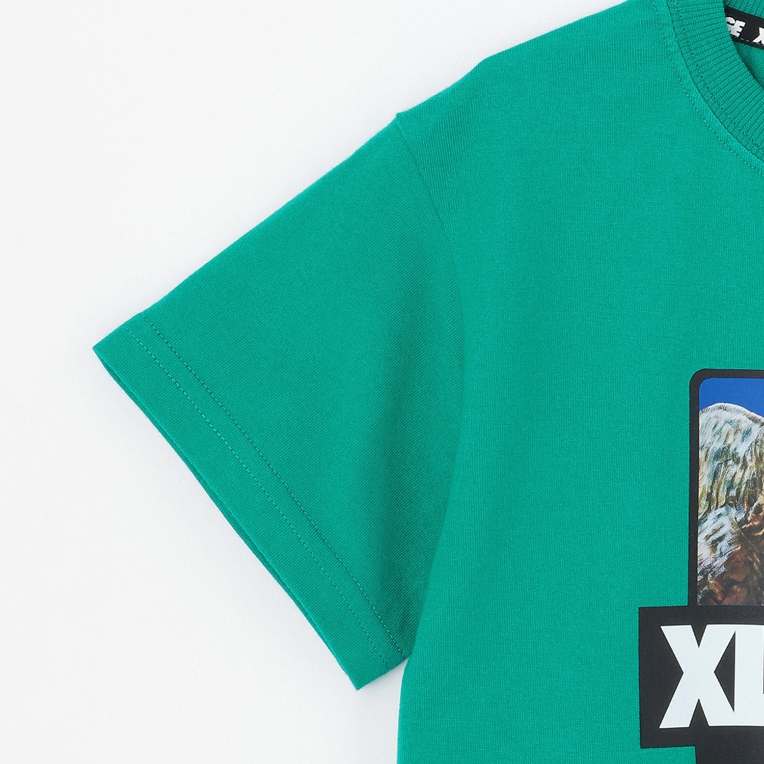 T-REXグラフィック 半袖Tシャツ