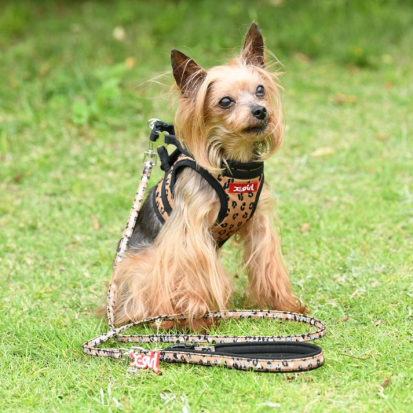 【X-girl DOGWEAR】リフレクタープリントリード S