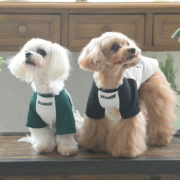 XLARGE DOGWEAR/OGラグランメッシュTシャツ