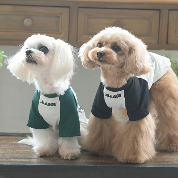 XLARGE DOGWEAR/OGラグランメッシュTシャツ