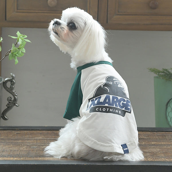 XLARGE DOGWEAR/OGラグランメッシュTシャツ