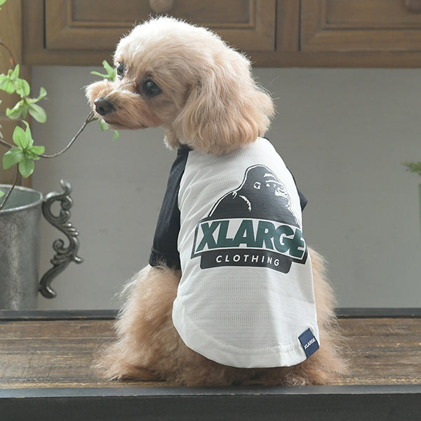 XLARGE DOGWEAR/OGラグランメッシュTシャツ