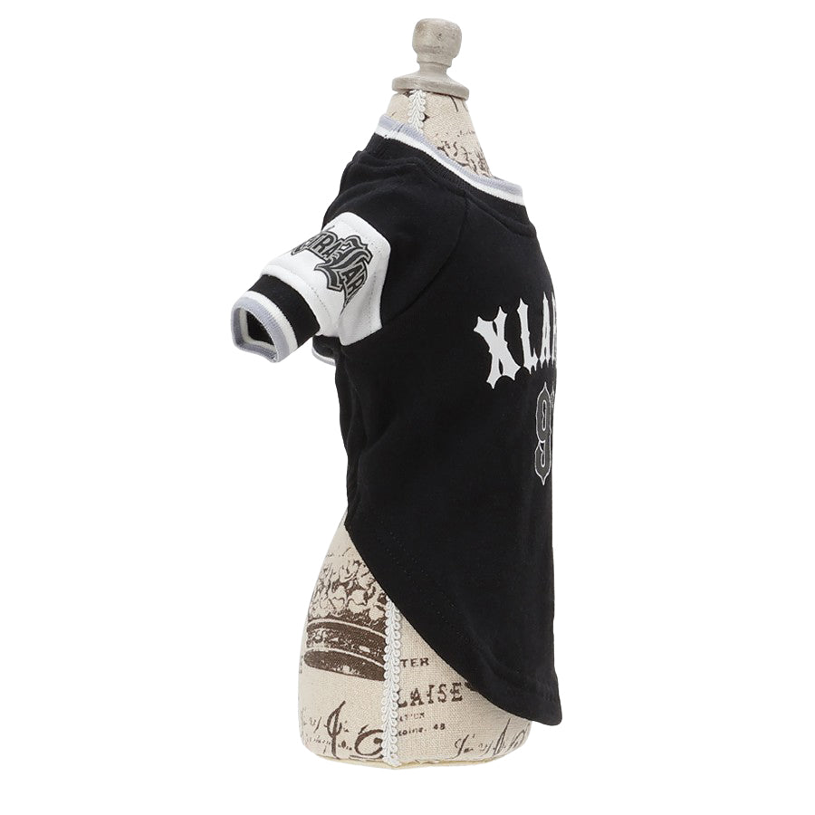 【XLARGE DOGWEAR】ロゴプルオーバー