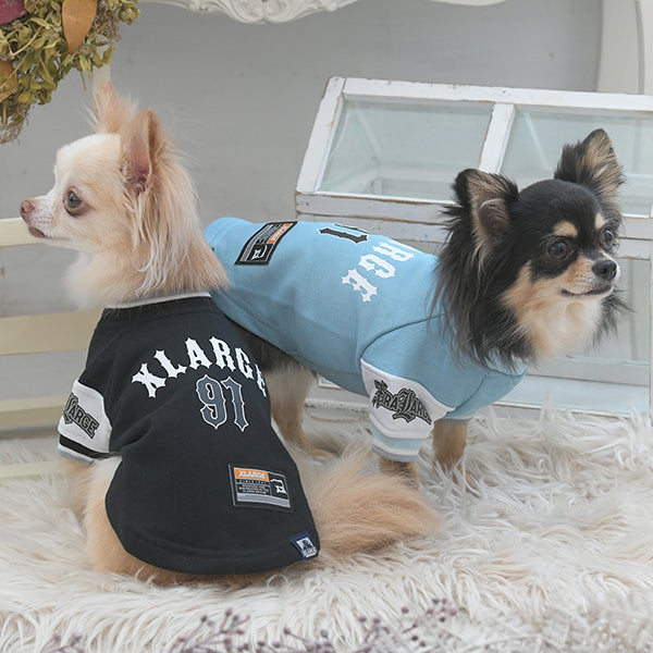 【XLARGE DOGWEAR】ロゴプルオーバー