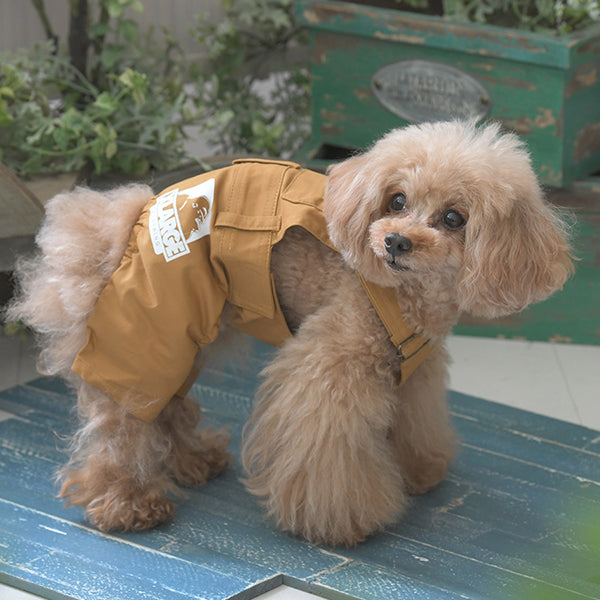 【XLARGE DOGWEAR】OGオーバーオール