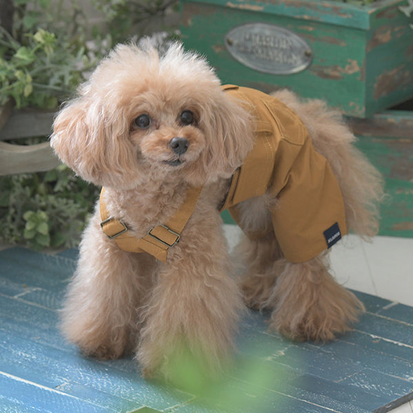 【XLARGE DOGWEAR】OGオーバーオール