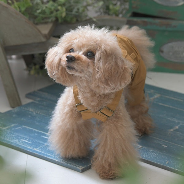 【XLARGE DOGWEAR】OGオーバーオール