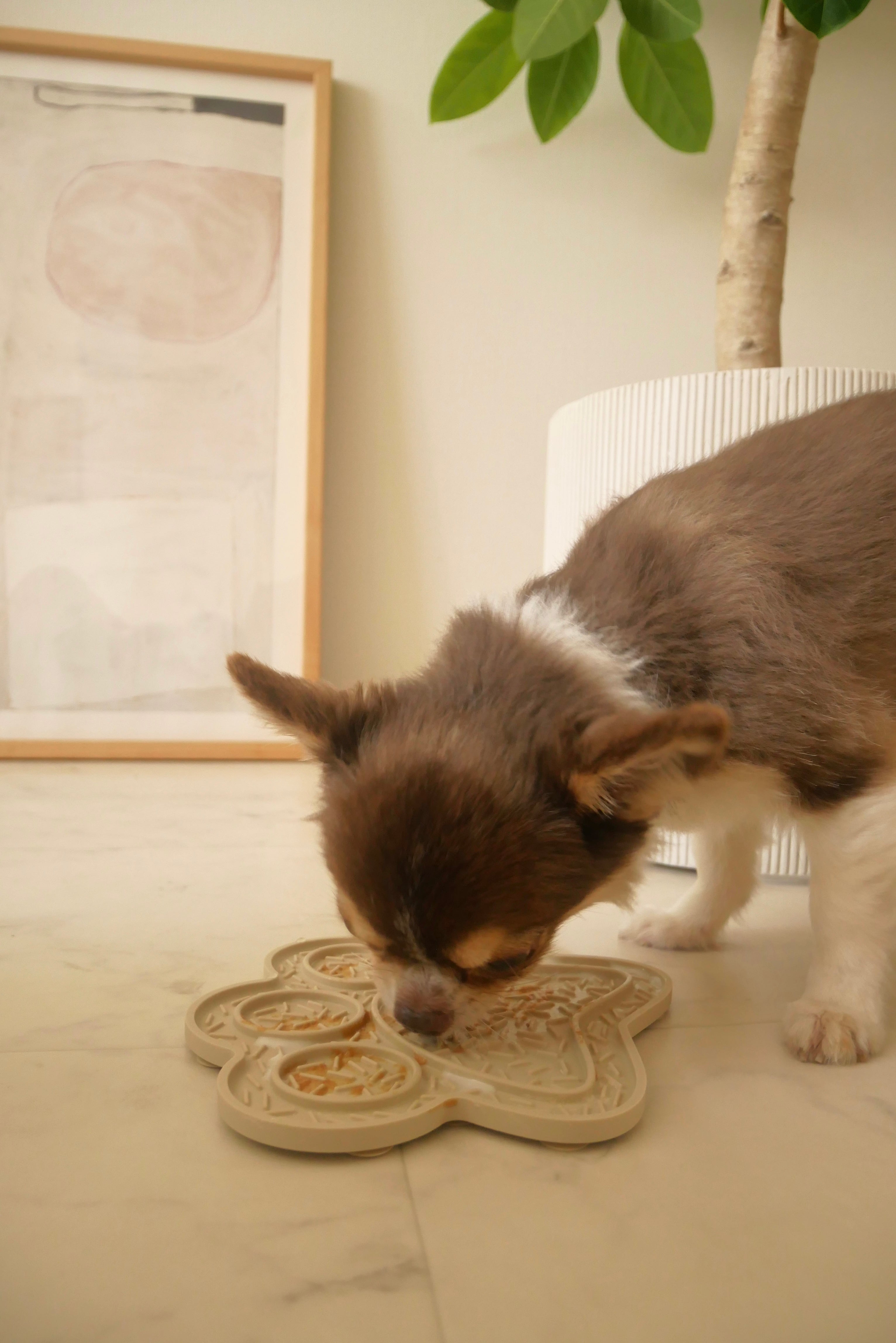 【mellowbear】LICK MAT