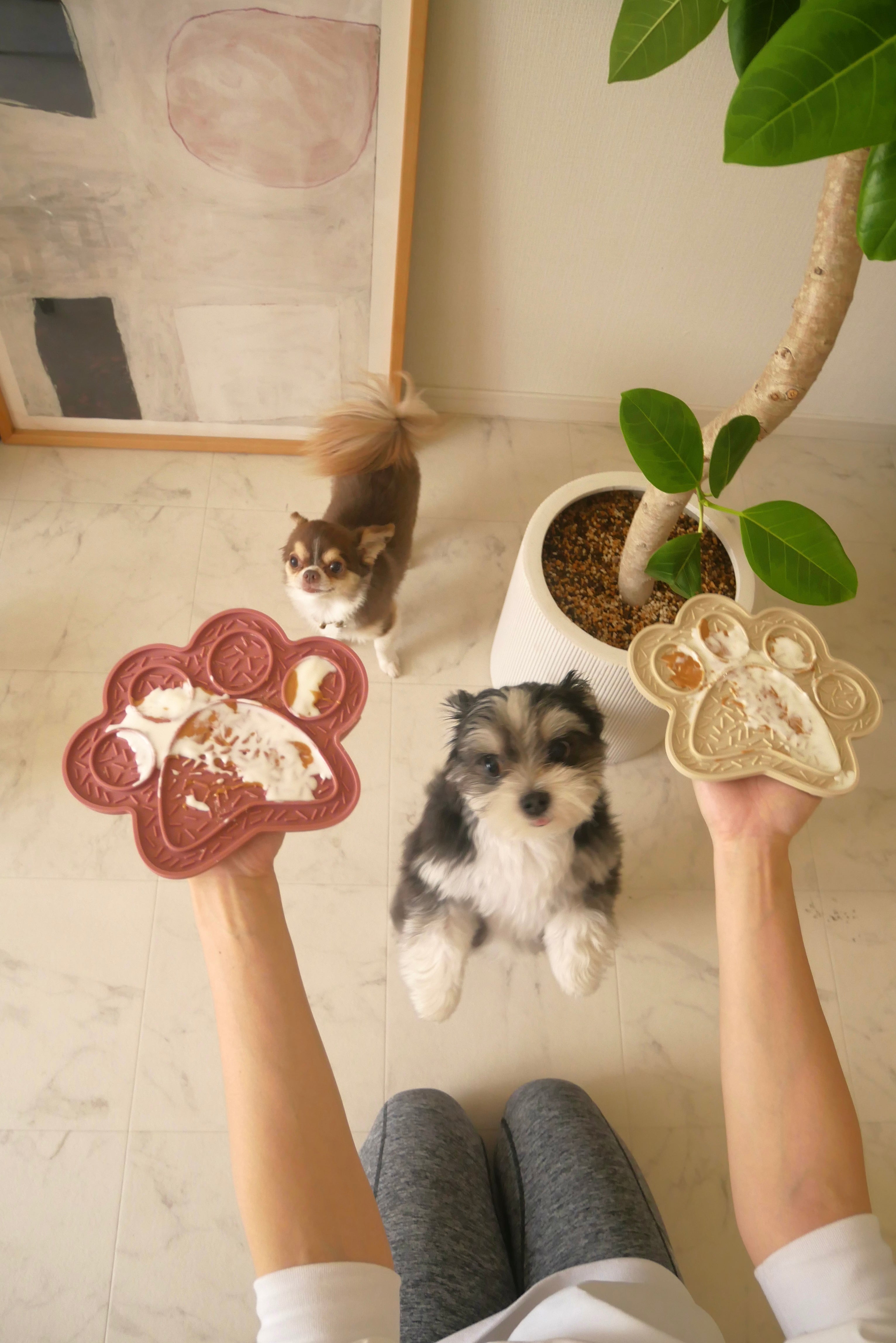 【mellowbear】LICK MAT